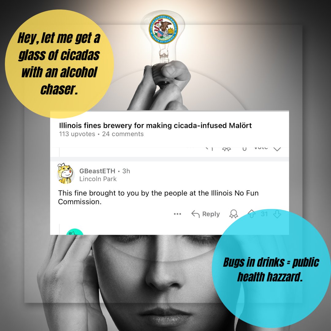 A cicada and a fruit fly walk into a bar.....