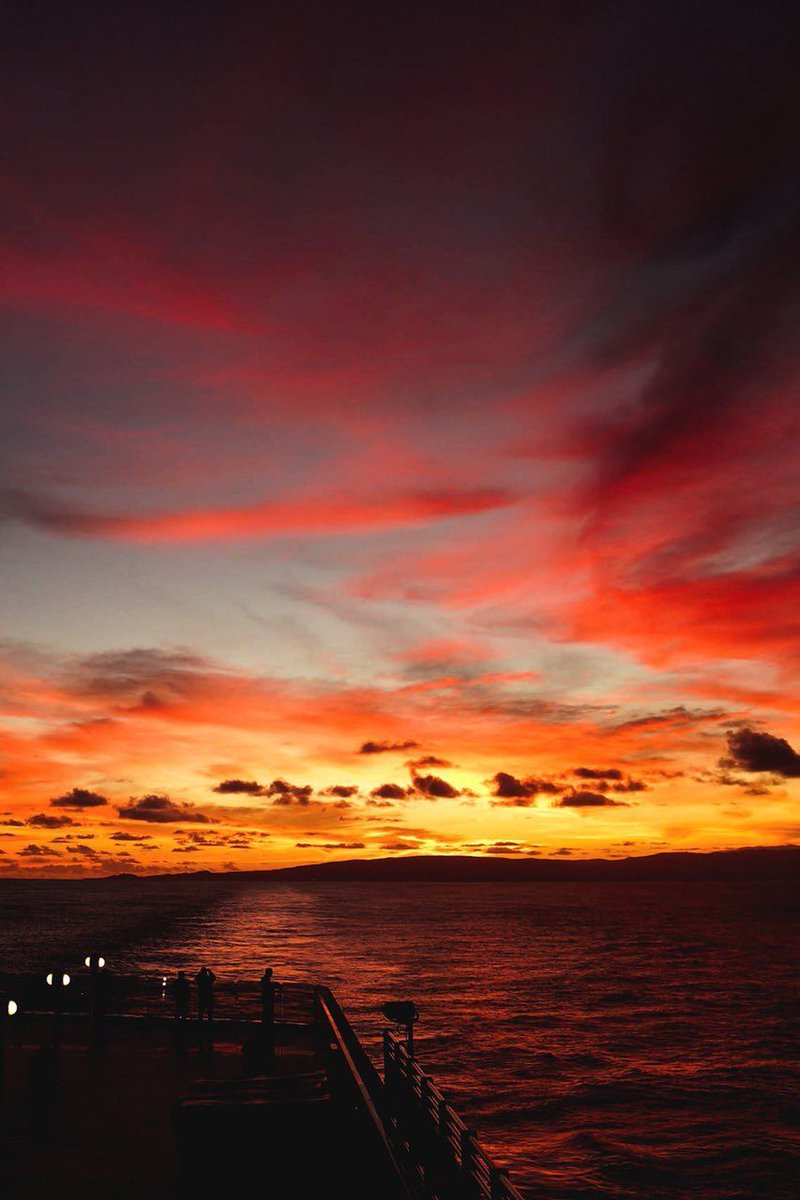 aestheticspost_'s tweet image. 