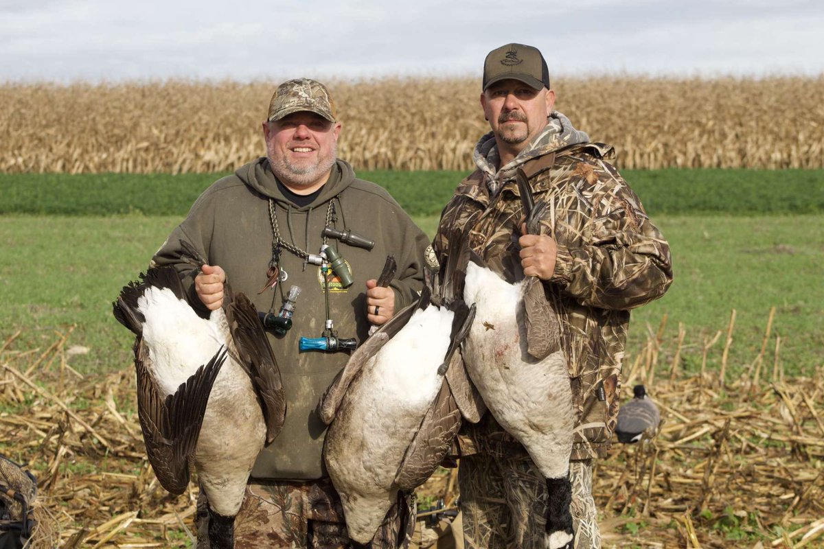 paboyzoutdoors1's tweet photo. Just a little under a week out from chasing honkers!
@gsmoutdoors
@h3_gamecalls
@huntstand
@kent_cartridge
#honkers #waterfowl #waterfowlseason #goose #goosehunting #canadagoose #gooseseason #cuppedup #pahunting #earlyseason #whatgetsyououtdoors #paboyzoutdoors https://t.co/tC4qO5xmBy
