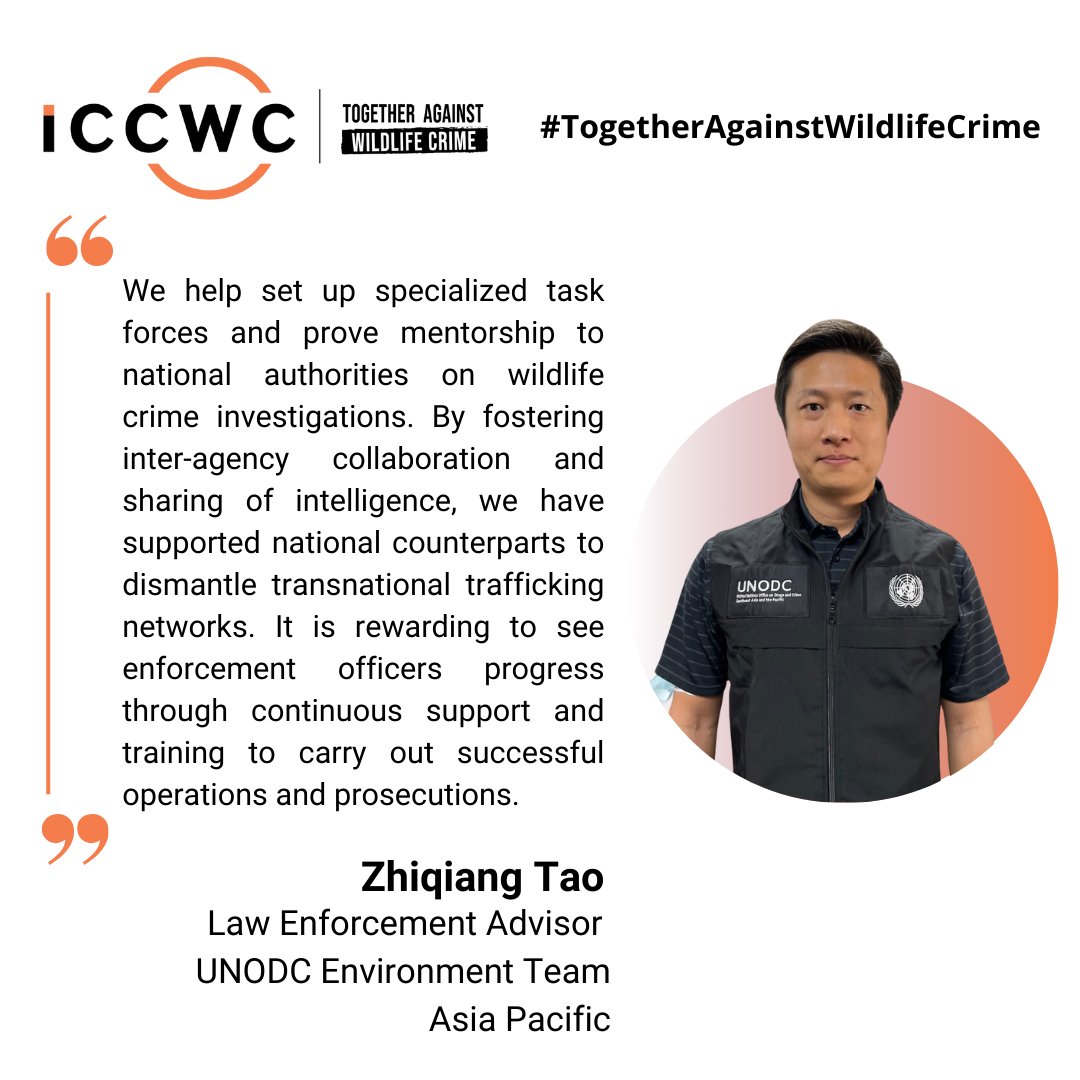 ICCWC_WFC's tweet image. Supporting national authorities with investigations, operations and prosecutions is key to tackling #wildlifecrime from multiple angles.👮‍♀️

Find out more about the work of #ICCWC➡️ bit.ly/3MfPMcn

#TogetherAgainstWildlifeCrime
