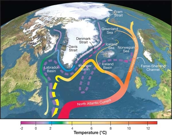 Extra co2 from human activity traps heat and warms the planet resulting in huge 
Melting of ice and increased freshwater dilutes salt content of water and water becomes less dense inhibiting ability of AMOC ocean current to sink, slowing it down and eventually shutting it down