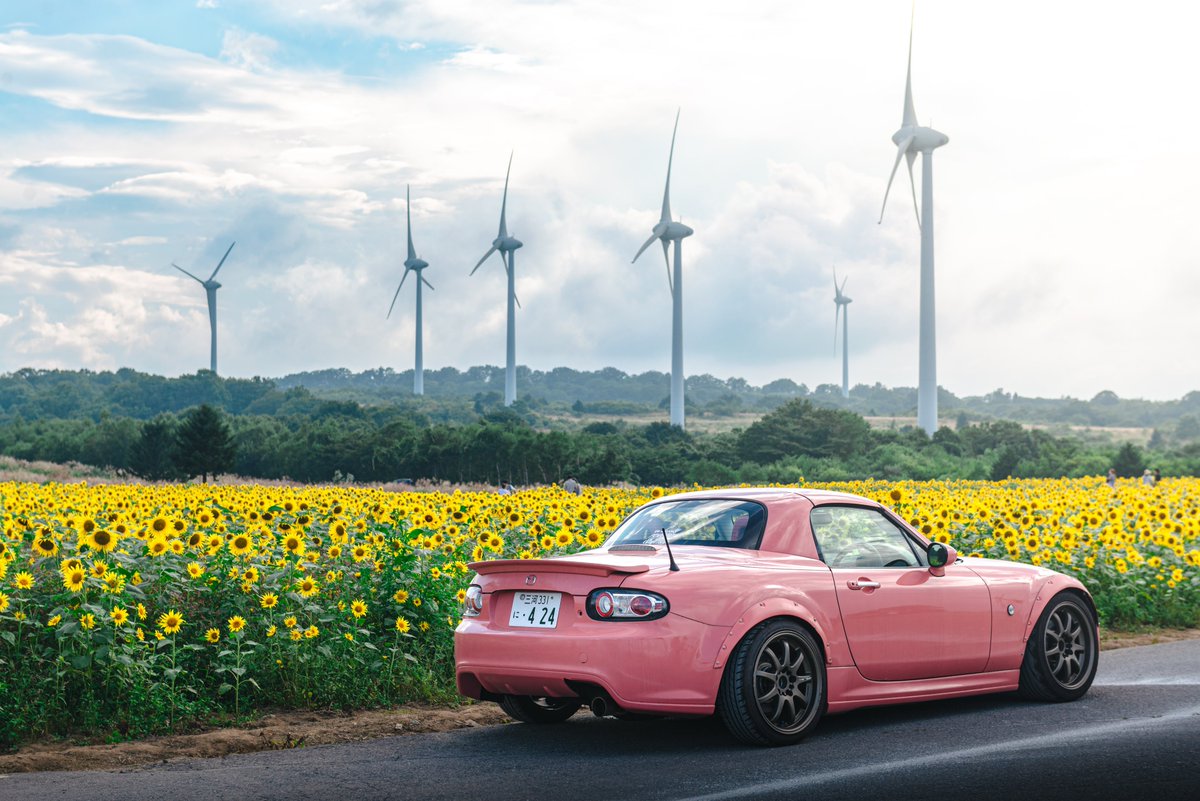 copen_de_rei's tweet photo. 愛知のコペン乗りからロードスターを譲ってもらいました！！
久々のオープンカー🚗！！！
空が広くて最高！！

ロスタ乗りの方と繋がれたら嬉しいです〜！

インスタも@rei_de_carguy でやってるので良ければ！！ https://t.co/UddTKUMg6G