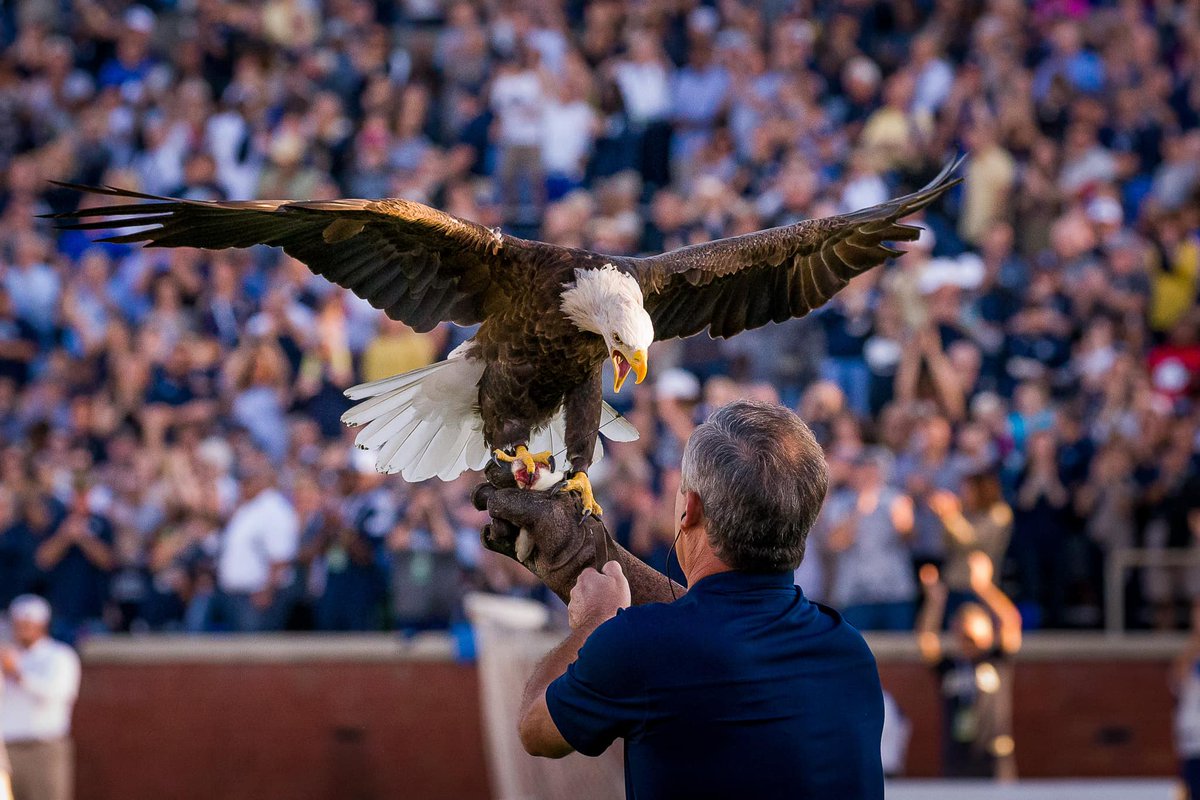 Georgia Southern Football returns to the Boro this weekend! 🏈

Watch the Eagles take on the Boise State Broncos for the home opener at Paulson Stadium this Saturday (08/31) at 4pm!