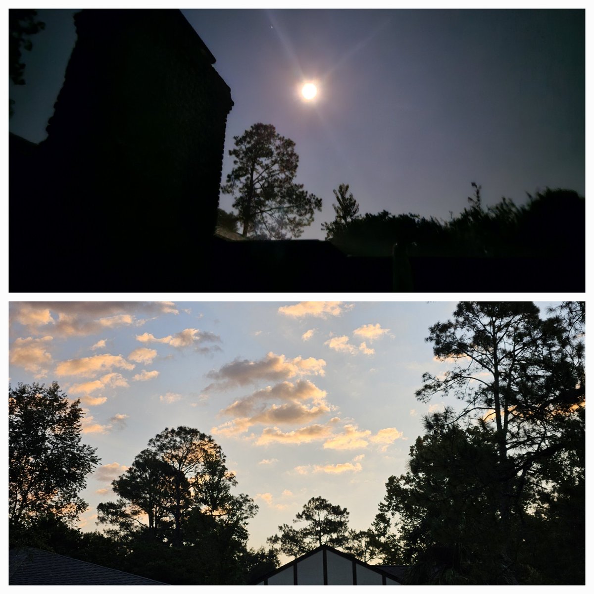 Great way to start off a Tuesday. Spending some time enjoying the Sturgeon Moon and then welcoming the sunrise on a walk. 

Bean Sprout woke up early enough for me to show her the Moon too and she loved it 💜