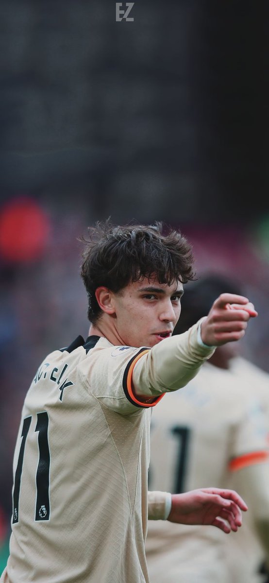 I'll say it, I'm excited.