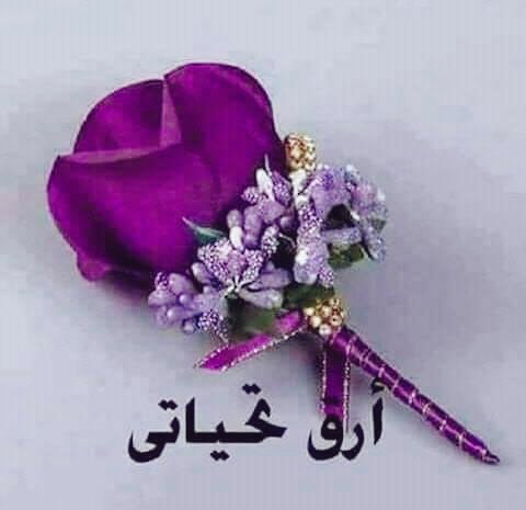 القلم صديقك الذي يبقى معك ما دمت تهتم بة ، وهو اداتك التي تعكس شخصك على مرآت الورق، إنها هبة الله لبعض من الناس يحملوة سلاحا ومنارا، يترجم بؤس قلوبهم وجراحاتهم الى قناديل تضيء دروب السعادة للآخرين،