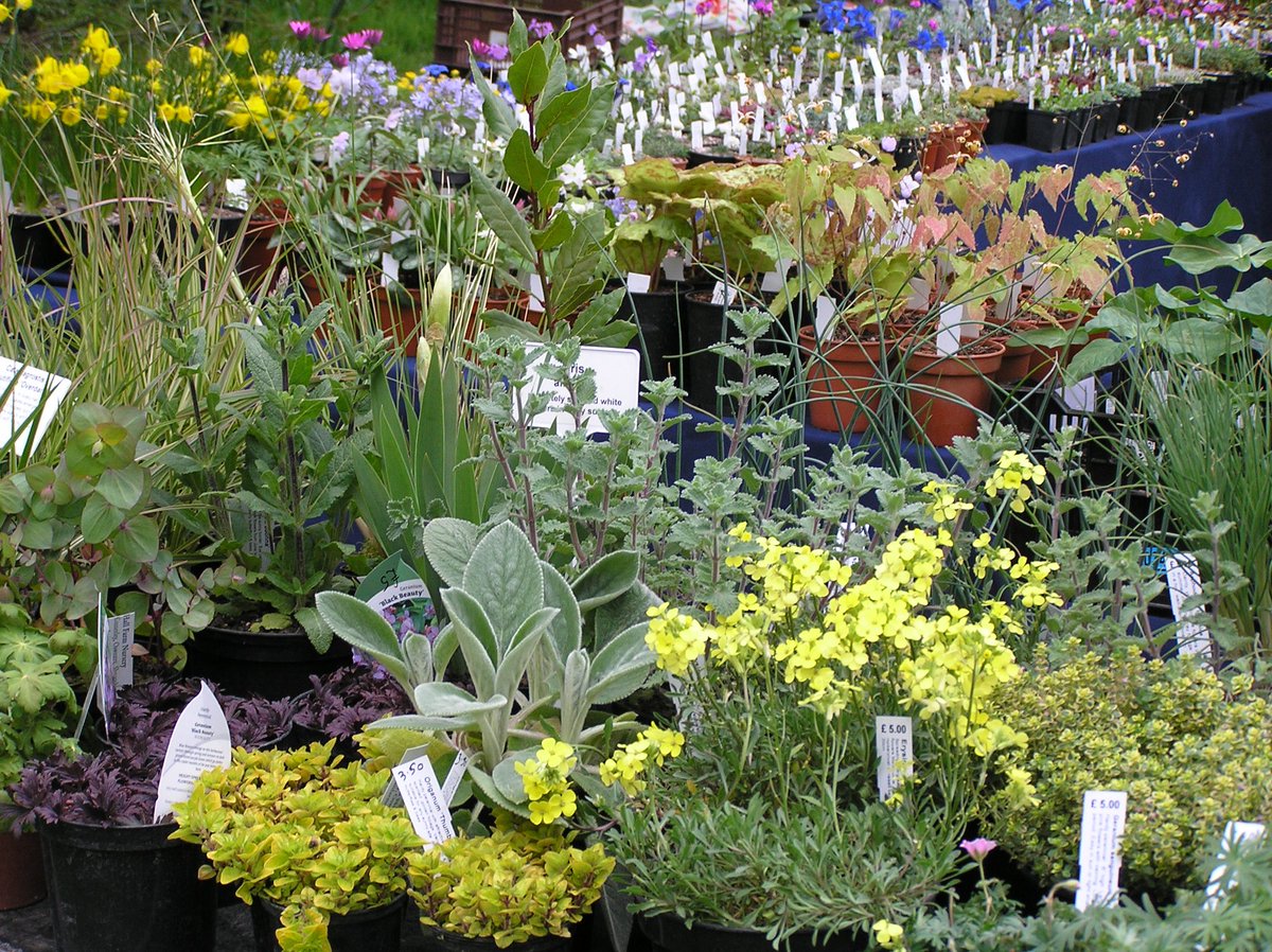 Dorothy Clive Garden (@dorothyclive) on Twitter photo PLANT HUNTERS FAIR - Sunday 25th and Monday 26th August - 10am to 5pm.
Entry £5 per person includes entry to the Garden and Plant Fair.
Tickets can be booked via this link ticketsource.co.uk/whats-on?q=dor…
Payment also accepted on the day.
@planthuntersfairs <a href="/Dorothyclive/">Dorothy Clive Garden</a> PLANT HUNTERS FAIR - Sunday 25th and Monday 26th August - 10am to 5pm.
Entry £5 per person includes entry to the Garden and Plant Fair.
Tickets can be booked via this link ticketsource.co.uk/whats-on?q=dor…
Payment also accepted on the day.
@planthuntersfairs <a href="/Dorothyclive/">Dorothy Clive Garden</a>