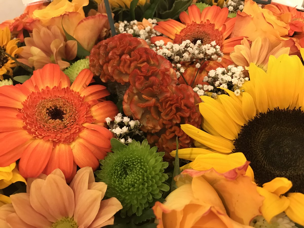 The #celosia flower (sometimes better known as the #cockscomb) represents love, affection and resilience. Available in a range of bright colours, it lends welcome texture and interest to a vibrant tribute. #FuneralFlowers #FloralTribute #TheLanguageOfFlowers #FlowerMeanings