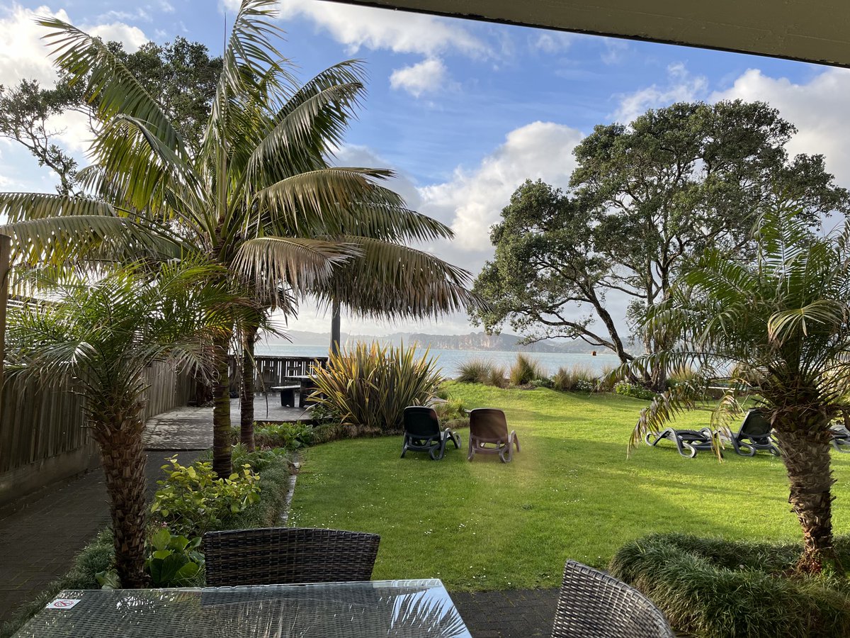 Fav view from my room of the trip so far 🌴☀️🌊