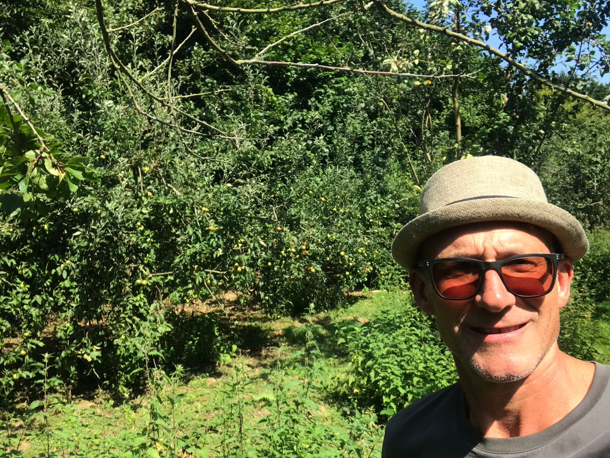 Bignose & Beardy tweet media