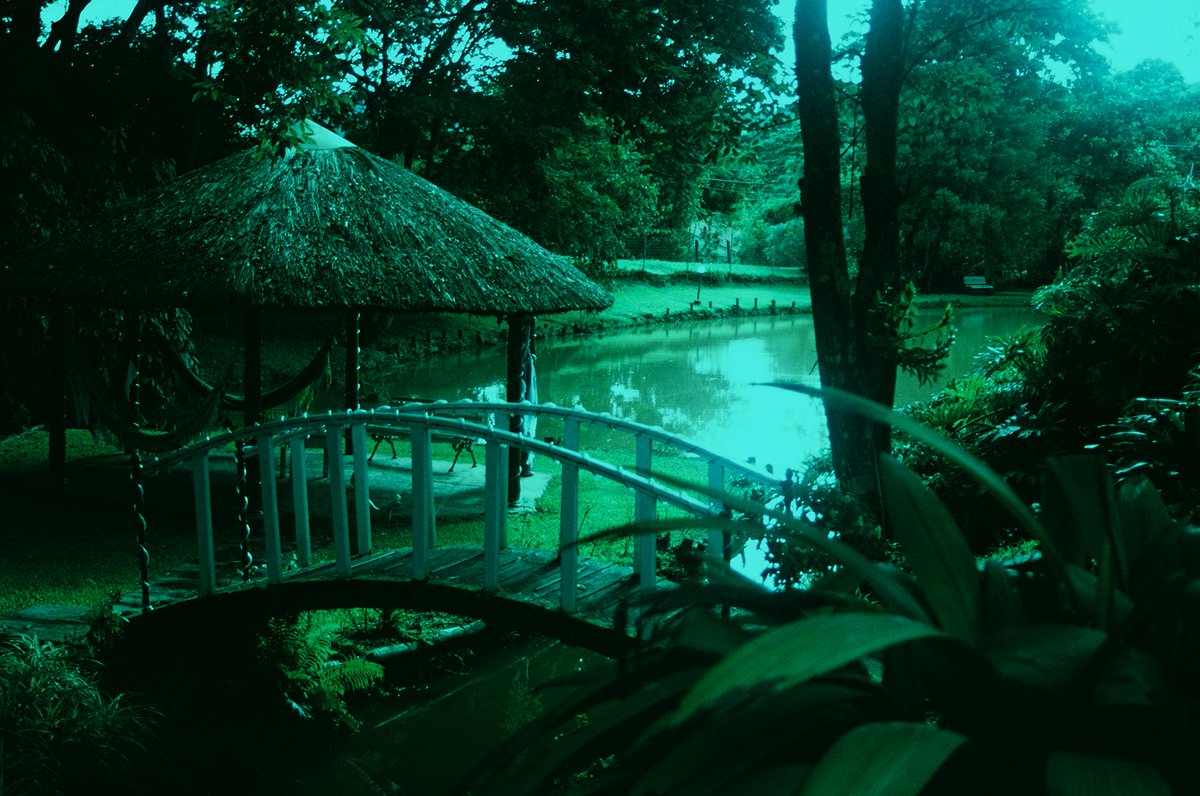 RinaldoCoelho tweet media