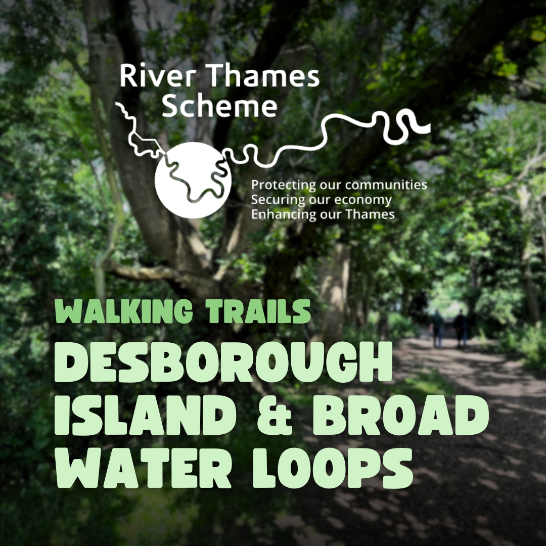 This week, we are launching our new RTS Walking Trails map from Walton Bridge and around Desborough Island or along Broad Water Lake. Learn about the diverse wildlife and history of the area.  Find out more: orlo.uk/kHwZa
<a href="/SurreyHeritage/">Surrey History Centre</a> <a href="/SurreyNews/">Surrey County Council News</a> #RTSWalkingTrails