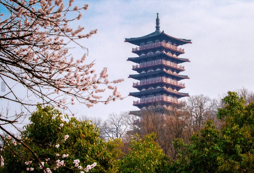 HefeiChina's tweet photo. Starting Aug 19, #Hefei-#Seoul international flights have resumed! Korean Air now offers five weekly flights, enhancing travel options between the cities. This business-focused route aims to boost economic, cultural, and tourism exchanges. #OpenHefei https://t.co/gKn2OqDg48