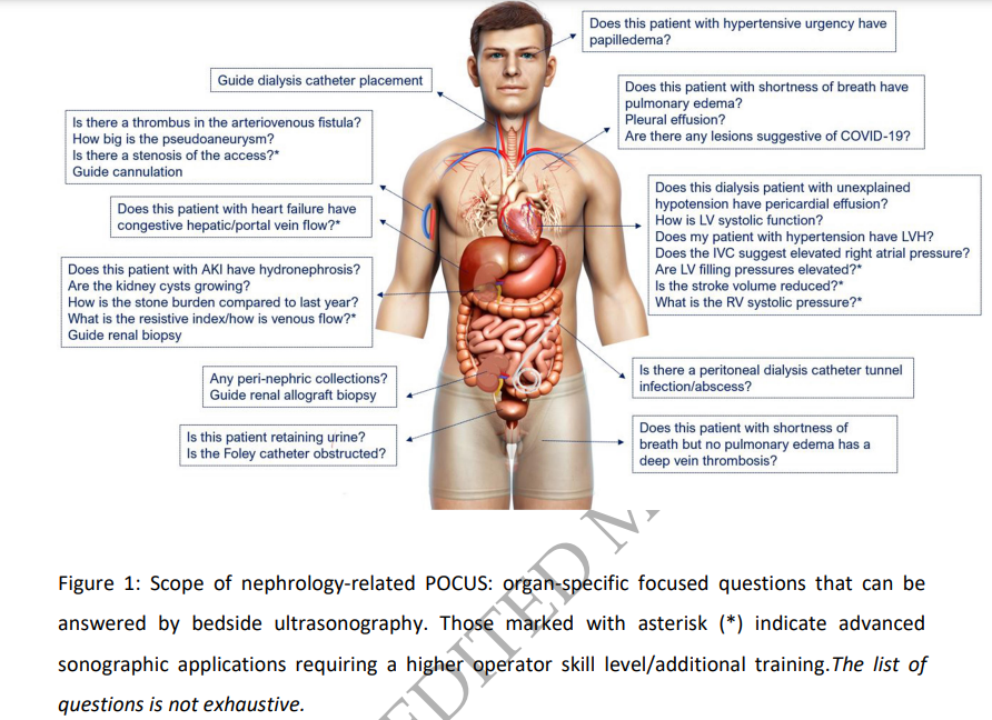 CKJsocial's tweet photo. Point-of-care ultrasound training in nephrology: 
a position statement by the International Alliance for POCUS in Nephrology

🔓https://t.co/g8RKpzHoxL

This statement aims to guide nephrologists in harnessing the diagnostic power of POCUS responsibly and effectively https://t.co/RFkphJdxub