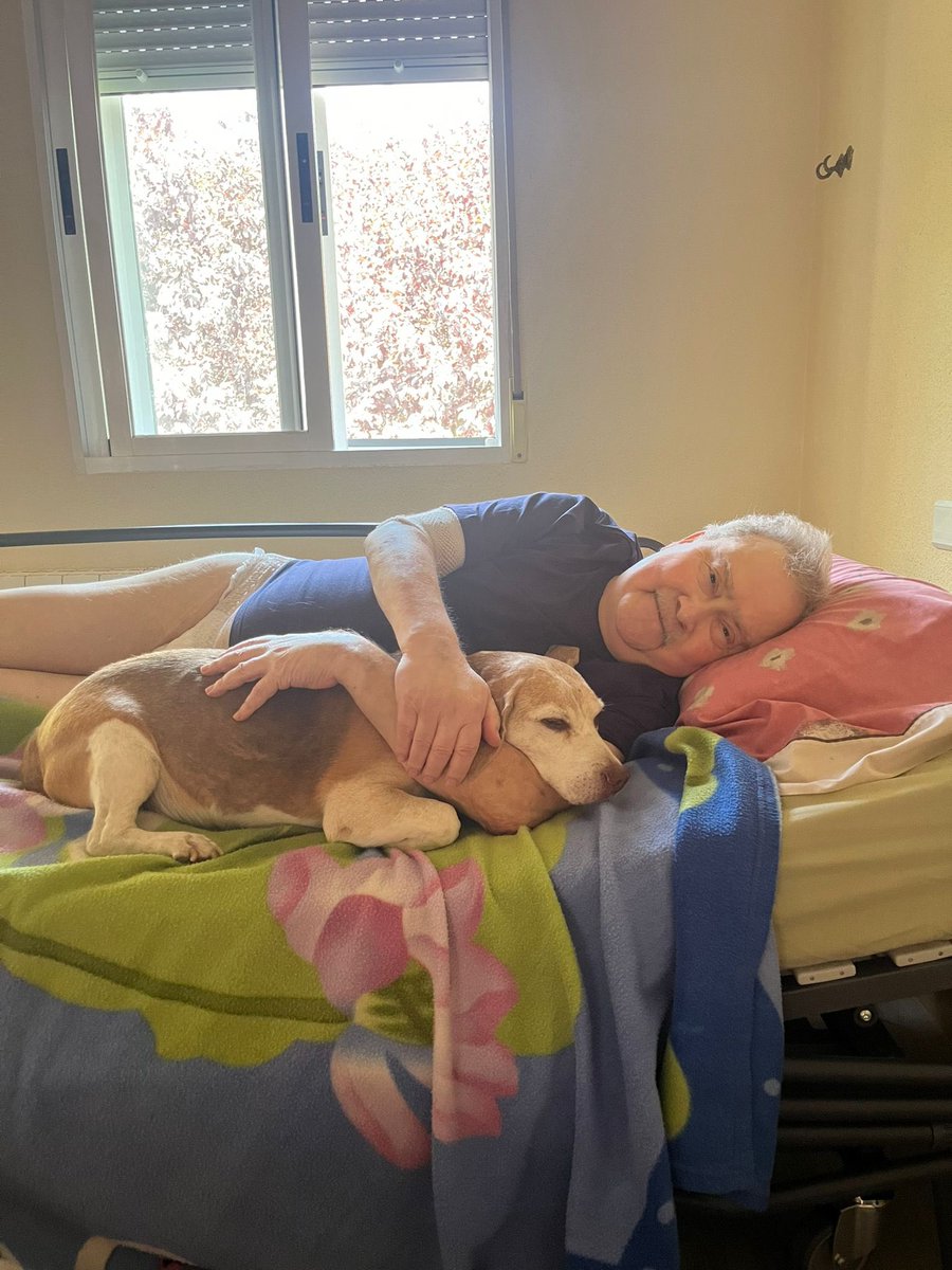 Jose Carlos Pastor J🇺🇦 tweet media