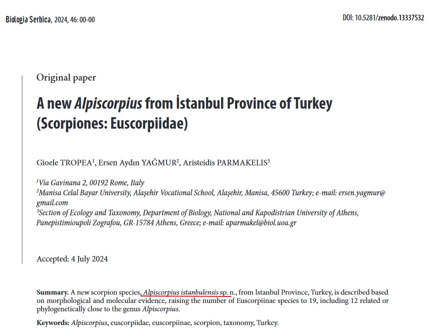 Kadir Boğaç Kunt tweet media