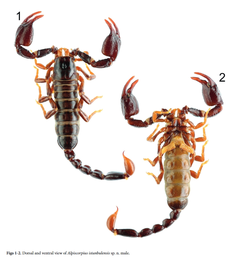 Kadir Boğaç Kunt tweet media