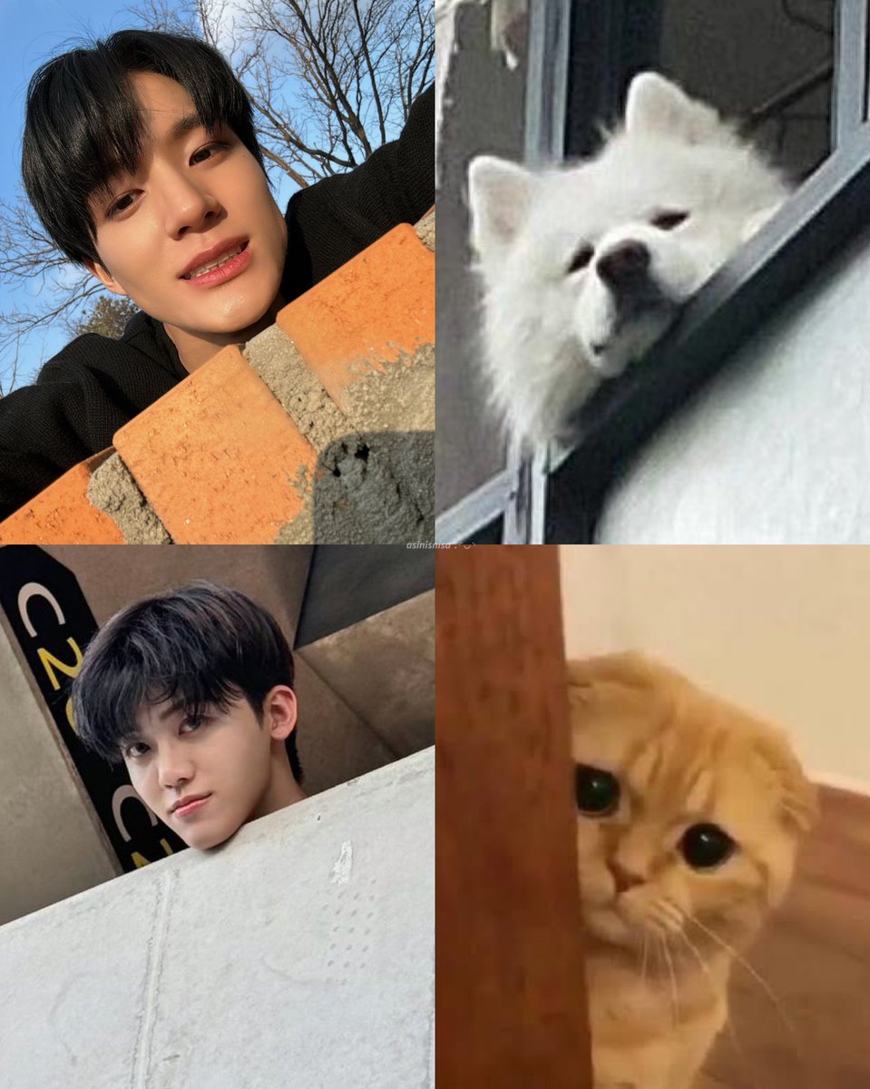 𝙖𝙨𝙞𝙣 𝟐𝟑𝟏𝟑% tweet media