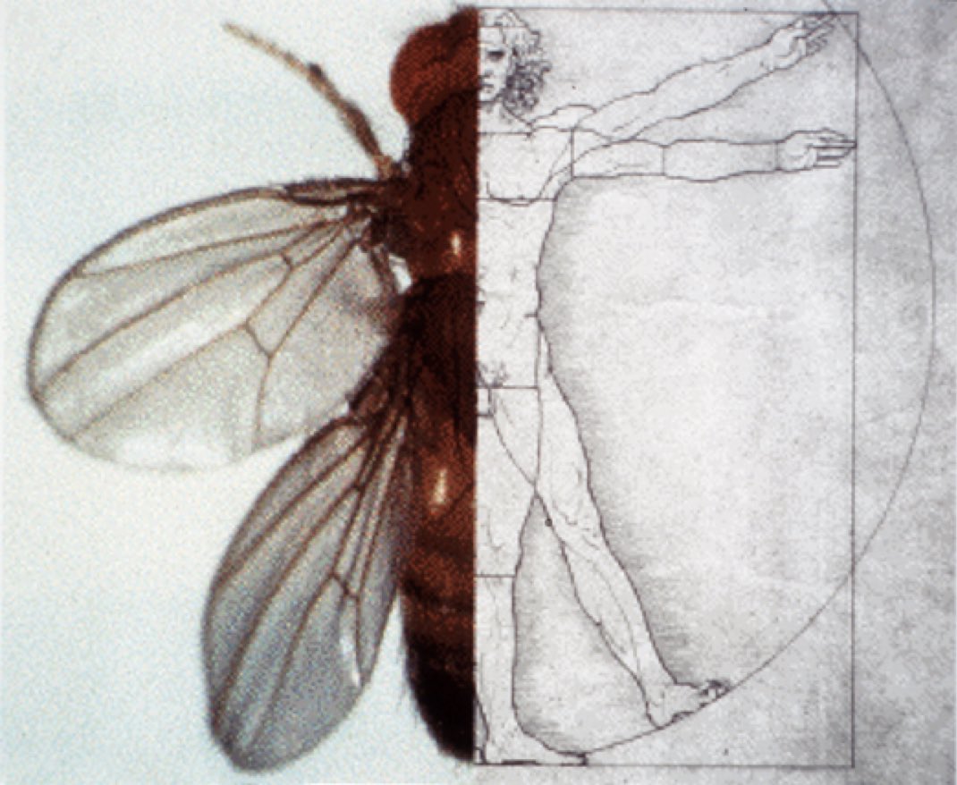 Perhaps the world’s greatest big-data scientists. Upping a thread and a picture by Benny Shilo

x.com/prinsciadvgoi/…