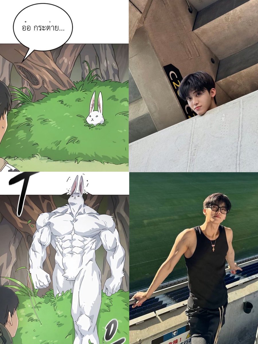 ก็แค่กระต่ายป่า 🐇💪🏻