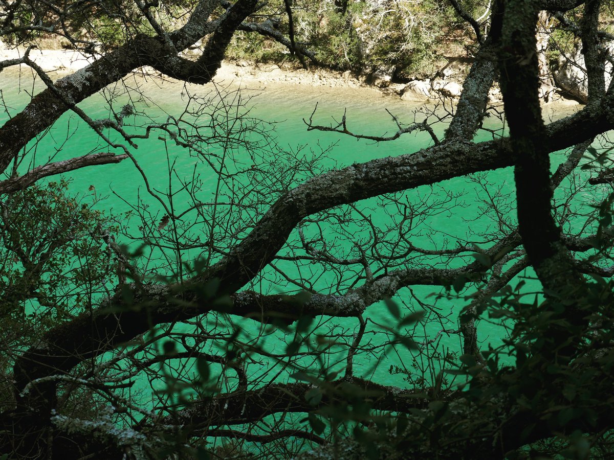 aphilibert83's tweet photo. Vert... Verdon...
#1mot1photo #vert @1mot1photo https://t.co/0YWXrKlxm2