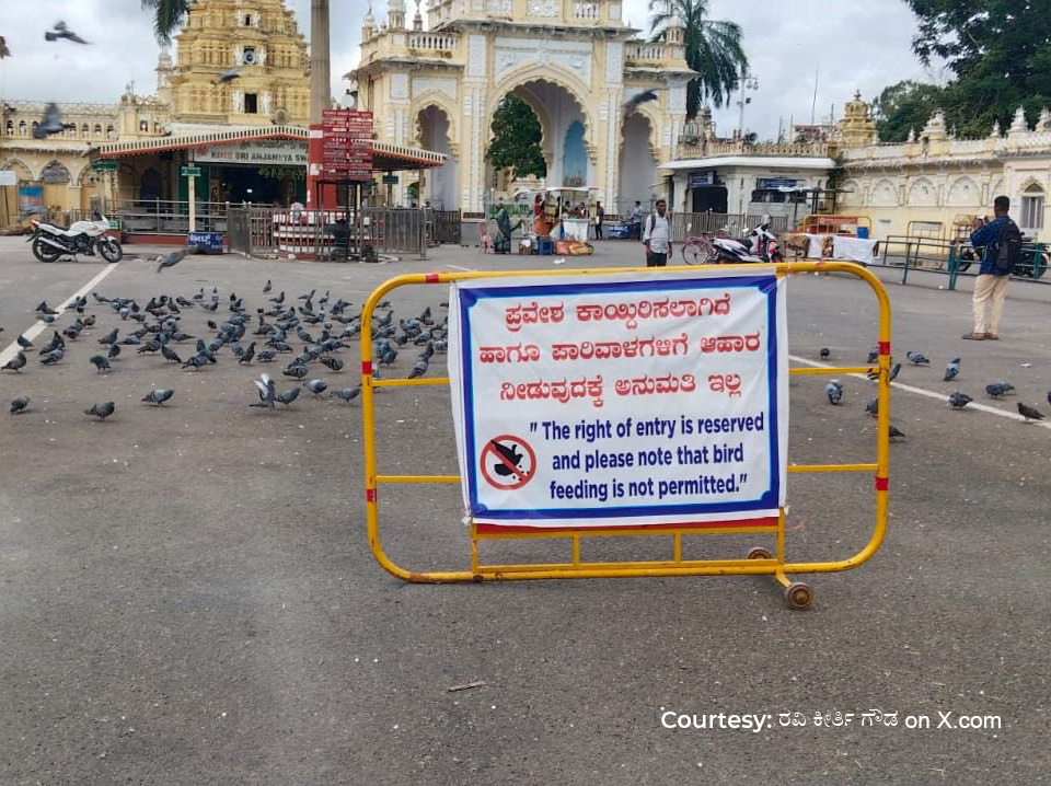 MasthMysore tweet media