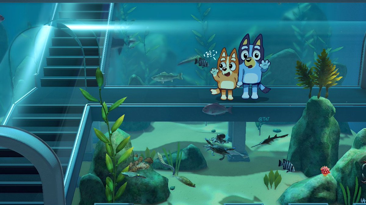 baowenbei0715's tweet photo. The aquarium of the museum.🐟🐟🐟🐟（1/4)
#bluey
☺️感谢喜欢。 https://t.co/68m30MzeCc