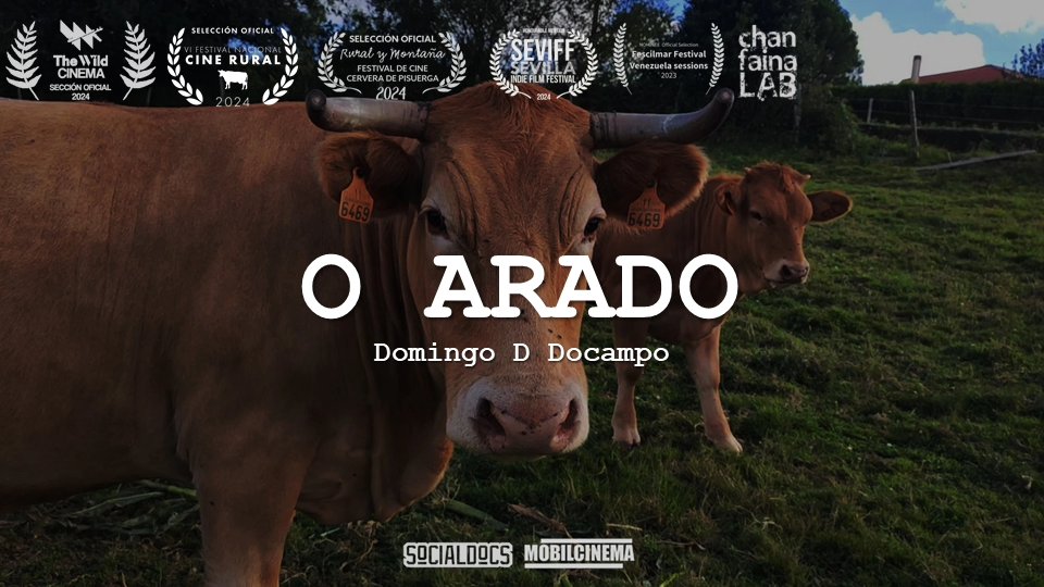 Faime moita ilusión que unha proposta tan persoal teña tan boa acollida. A curta "O ARADO" estará  o día 26 en Ayacucho no Festival de Cine Rural o 21 en Vigo no <a href="/thewild_fest/">The Wild</a>