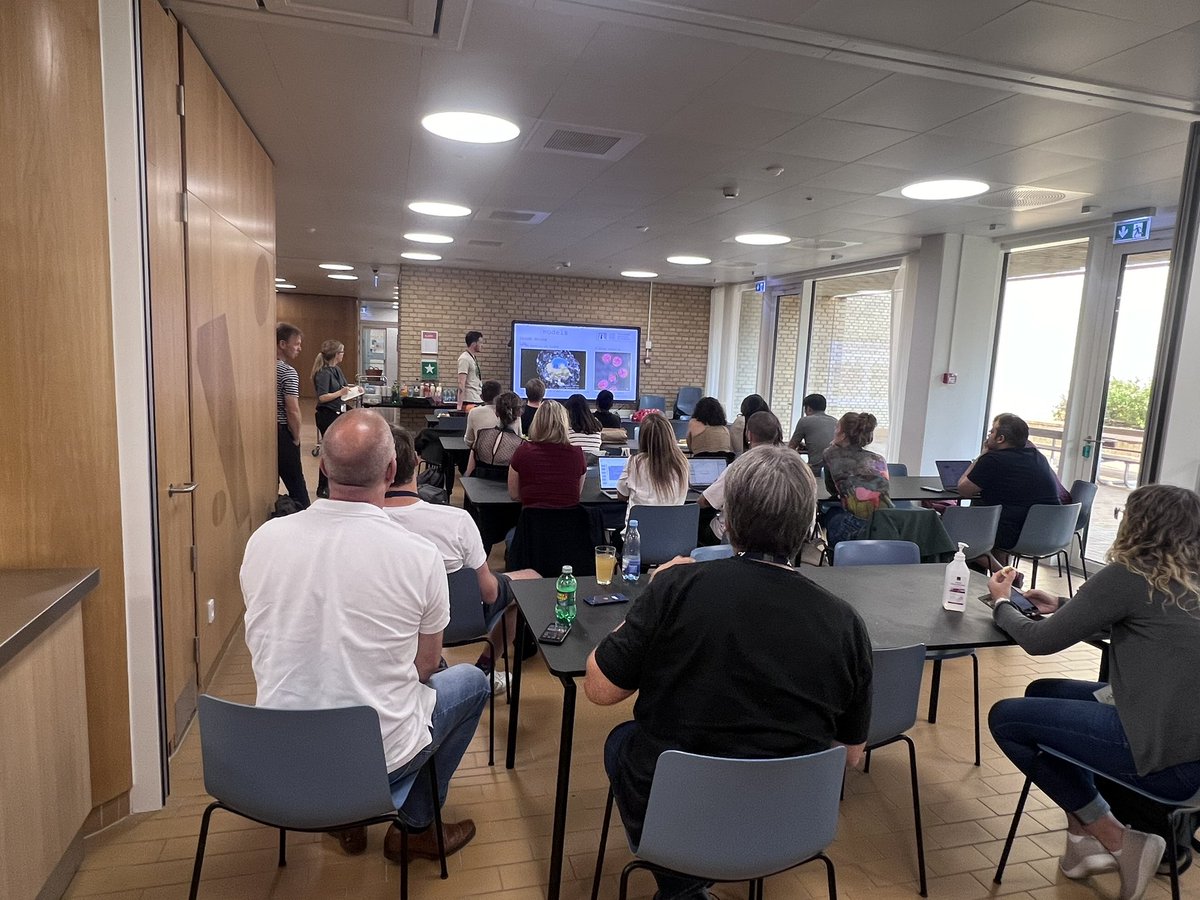 Edna,Xian HU tweet media