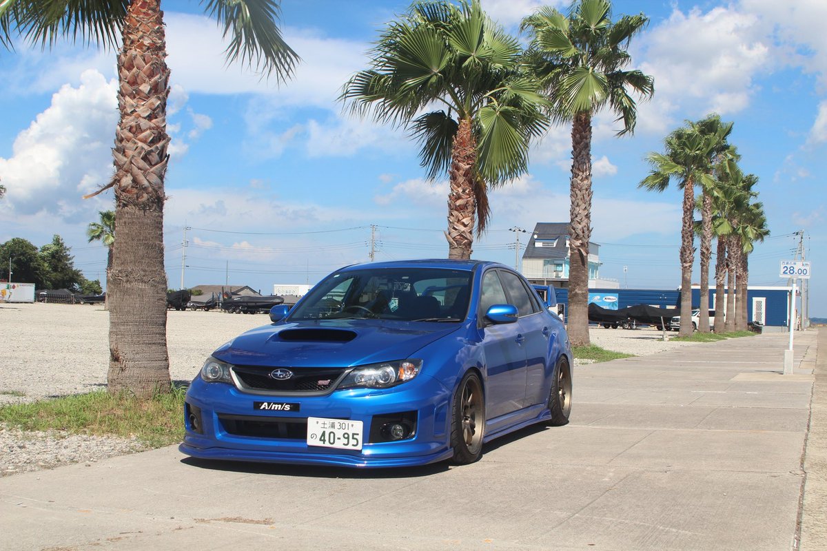 ヵィﾁ tweet media