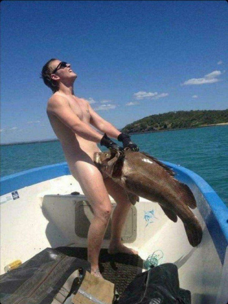 Seb 💎 tweet media