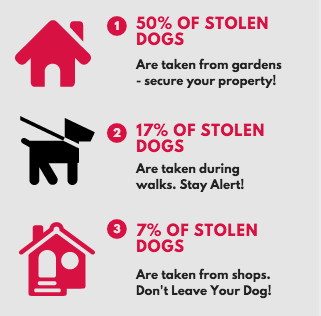 Please retweet, never leave your dog tied up outside a shop!!🐶🛒
Make sure your garden is secure.
If your dog doesn't have 100 recall, keep him on a lead on walks. 
Someone will steal your dog if you give them the chance.
#dogs #pettheft #dog