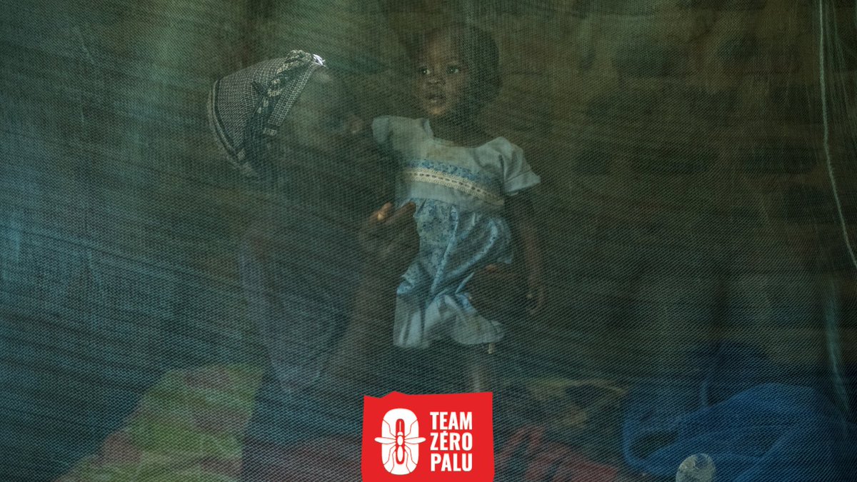 Il existe plus de 3500 espèces différentes de moustiques dans le ​monde🌍 
#JournéeMondialeDuMoustique #Paludisme #EnFinirAvecLePaludisme ​#MosquitoCountdown

📷 Brian Otieno / <a href="/GlobalFund/">The Global Fund</a>