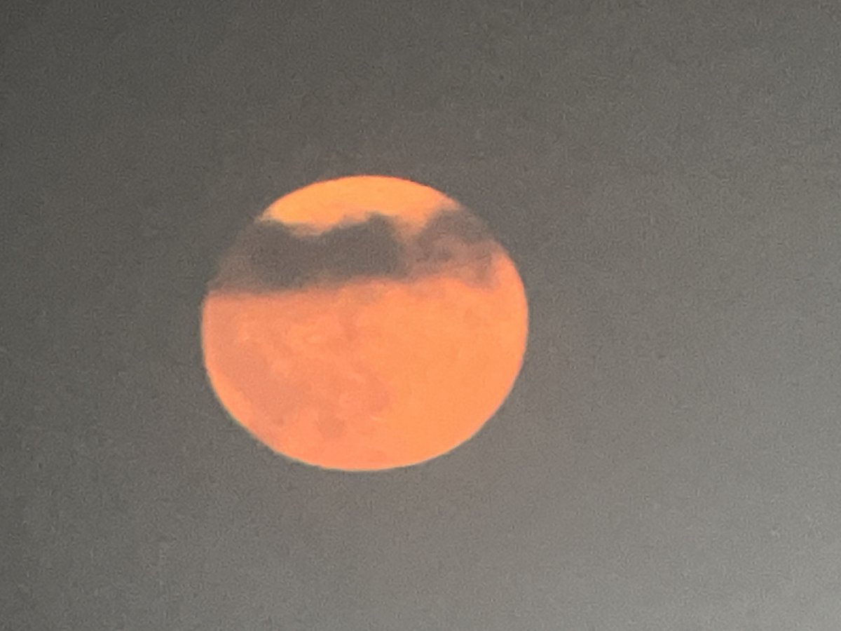 Indalo Property Solutions tweet media