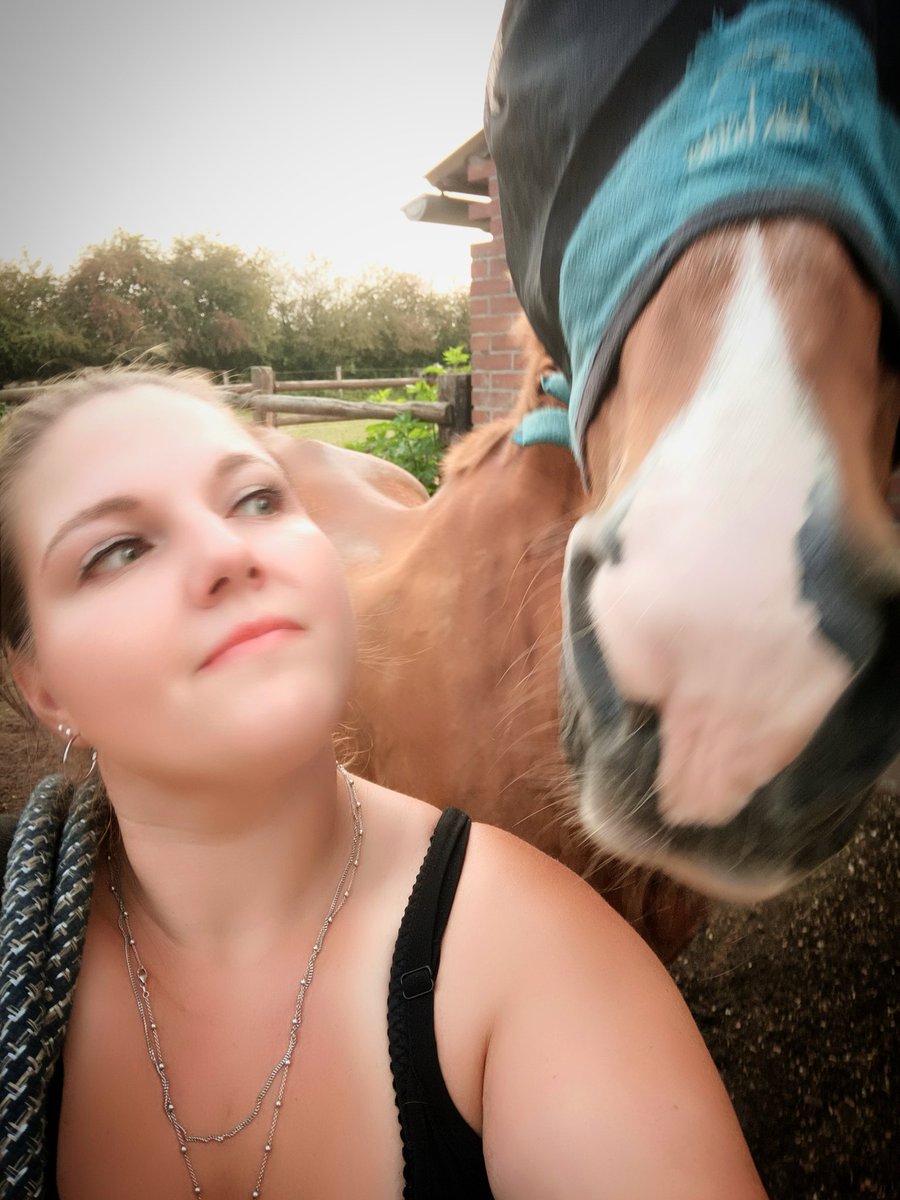 Soykamy_Twitch's tweet photo. Jonathan - kleiner 🤓🦊 

#pferdeliebe #horse #pferdemädchen 

🧡 https://t.co/n30zMajADV