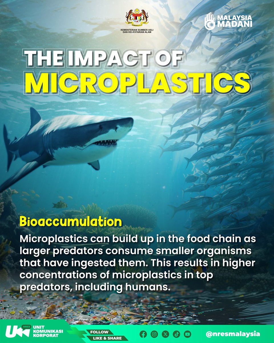 nresmalaysia's tweet photo. Let's learn the impacts of microplastics on the environment 🌳and organisms 🐳🐓👨🏻‍💼. Together, we must cut down on single-use plastic for sustainable future! 🫡

#microplasticawareness #forsustainablefuture #EnvironmentFriendly #environmentaleducation #NRES #MalaysiaMadani https://t.co/TXv4hByafr