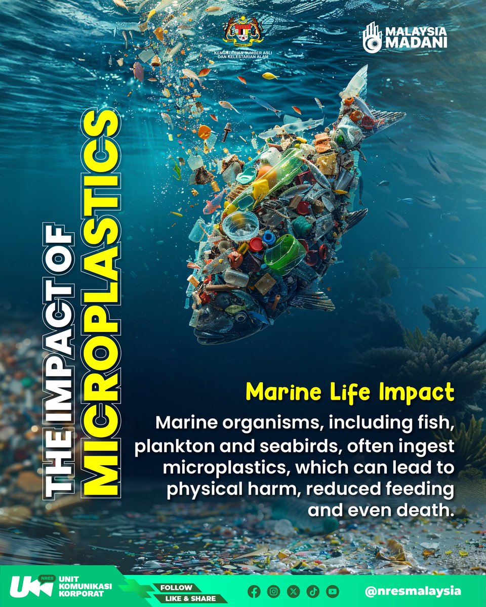 nresmalaysia's tweet photo. Let's learn the impacts of microplastics on the environment 🌳and organisms 🐳🐓👨🏻‍💼. Together, we must cut down on single-use plastic for sustainable future! 🫡

#microplasticawareness #forsustainablefuture #EnvironmentFriendly #environmentaleducation #NRES #MalaysiaMadani https://t.co/TXv4hByafr