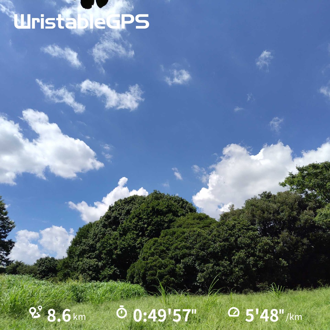 texas_blues_man's tweet photo. #50過ぎの親父が肉体改造に挑戦してみたら
8.6㎞ 49'57" 5'48"/㎞
Eペース走
来春の参加予定が東京マラソンの当落が決まらないと他が決められないジレンマ
取り敢えず青梅マラソンはエントリー完了
心拍数 50(安静時)
体温 36.1℃
#ランニング
#ジョギング
#Age56 https://t.co/bCVGz0VSvd