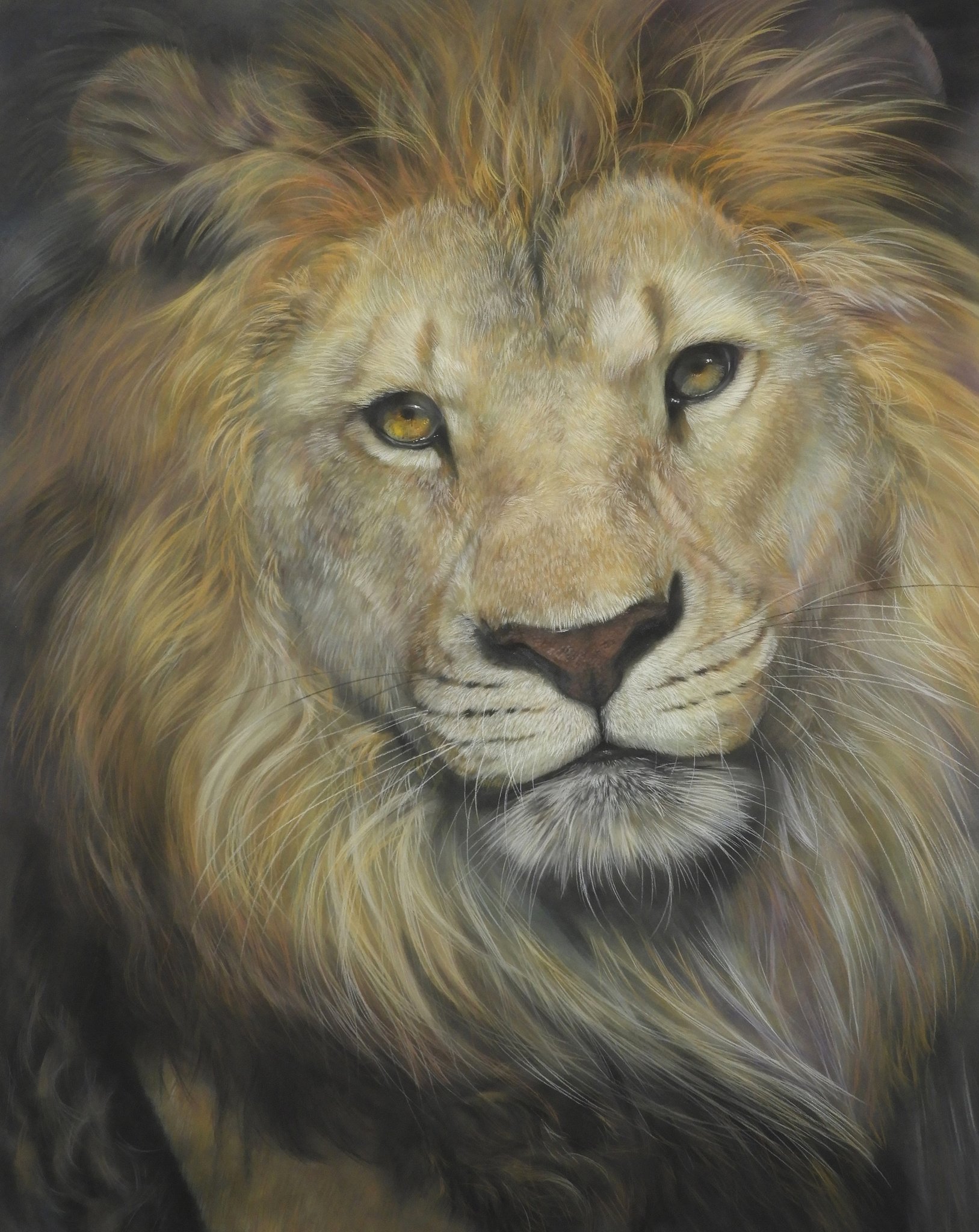 レイン・カラセド アクリル 絵画 本人肉筆 lion シャープなライオン 