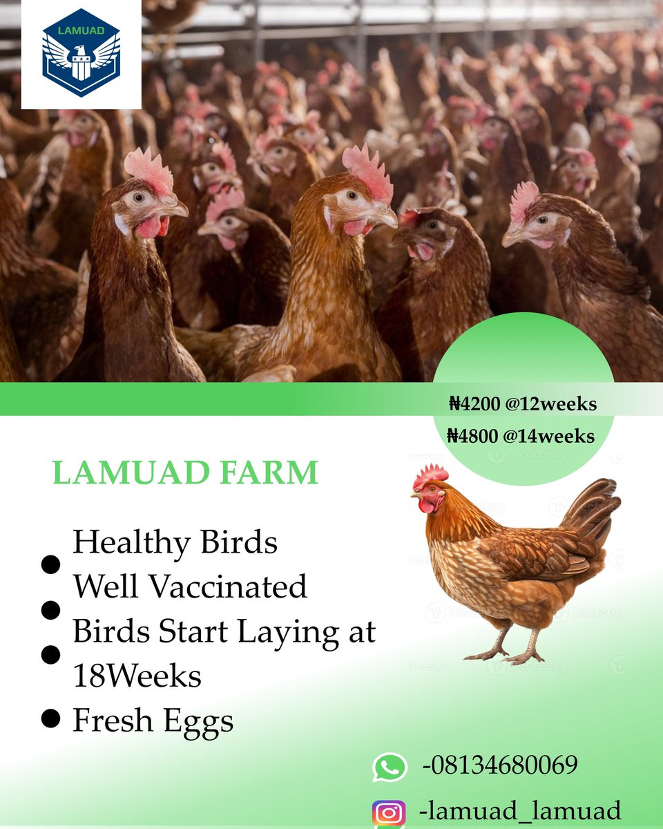 LAMUAD MULTI VENTURE tweet media