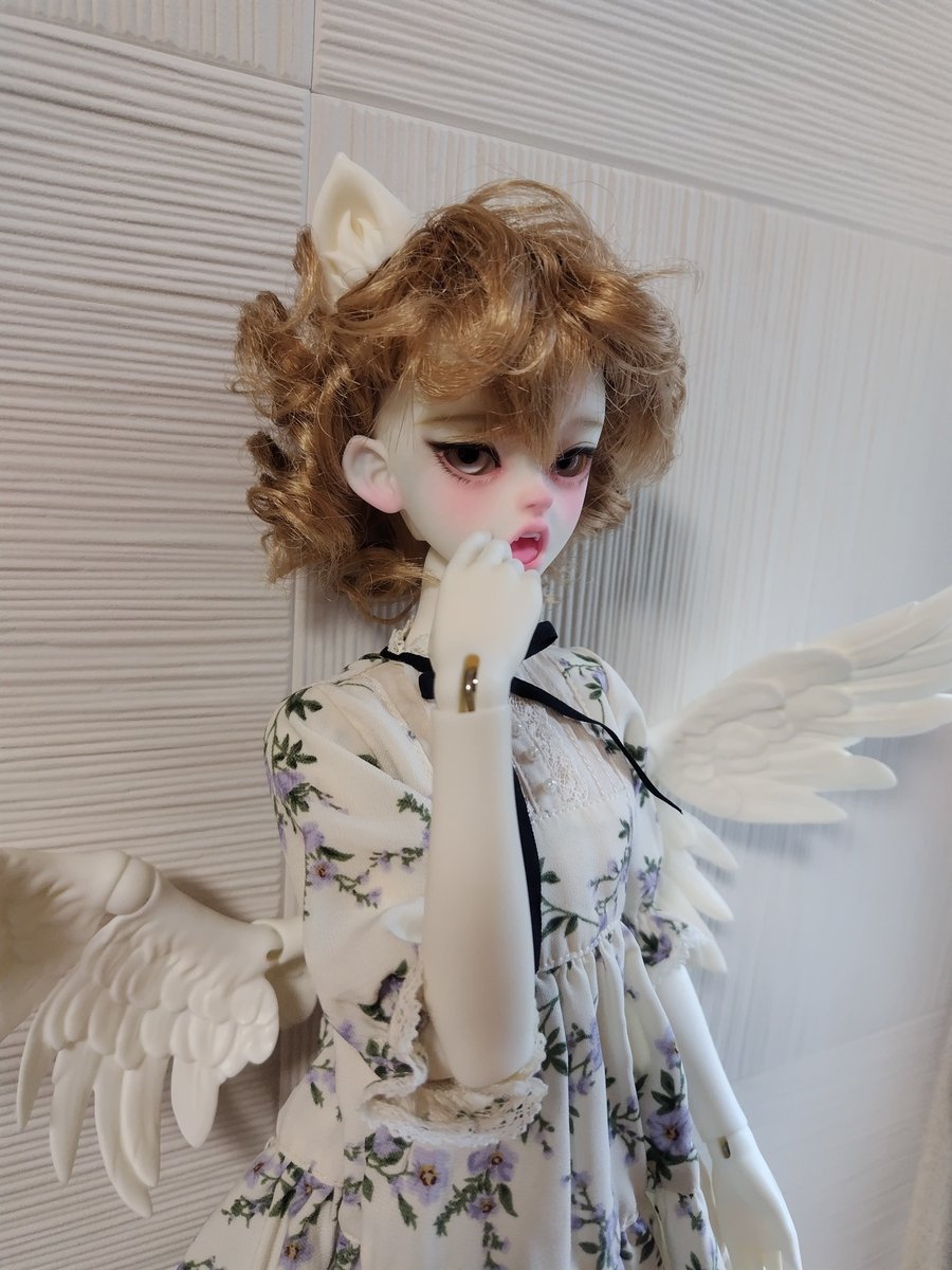 ajisaikoubo's tweet photo. お迎え報告が遅くなりましたが、HAKIMIちゃんお迎えしました！
ボディはdoll family-H 「窈窕体」です。
とてもかわいい！！

@ACAT_bobo 
#ACATBO https://t.co/gbXGmBt8ku