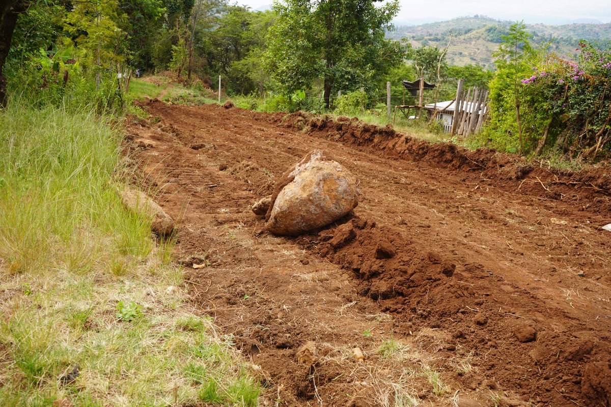 mechanicalmtd's tweet photo. Opening and dozing of Giitune Kwa Nchamba Junction — Kibari Primary School road, Abothuguchi Central Ward, Imenti Sub-county.
For quality equipment and service, choose MTF.
@Governors @contractors
#enhanceconnectivity
#MTF
#Merucounty https://t.co/NxHj9IIa2P