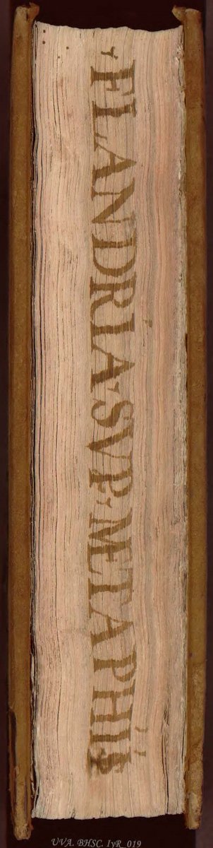 BUVaSantaCruz's tweet image. El #incunable 019 &quot;Quaestionum super. XII. libros metaphysice&quot; se terminó de imprimir en Venecia un 20 de agosto de 1499 uvadoc.uva.es/handle/10324/1…