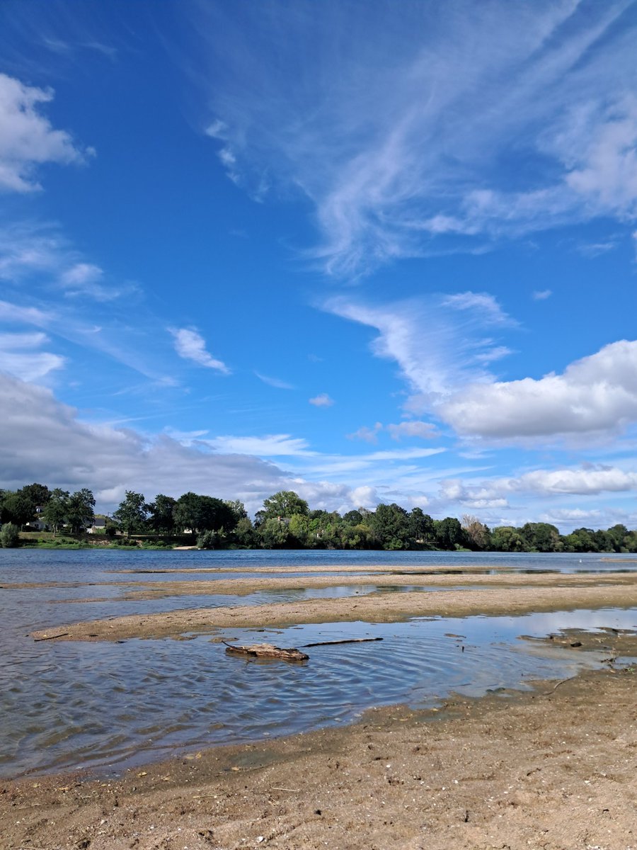 eMMaNuel vasliN tweet media