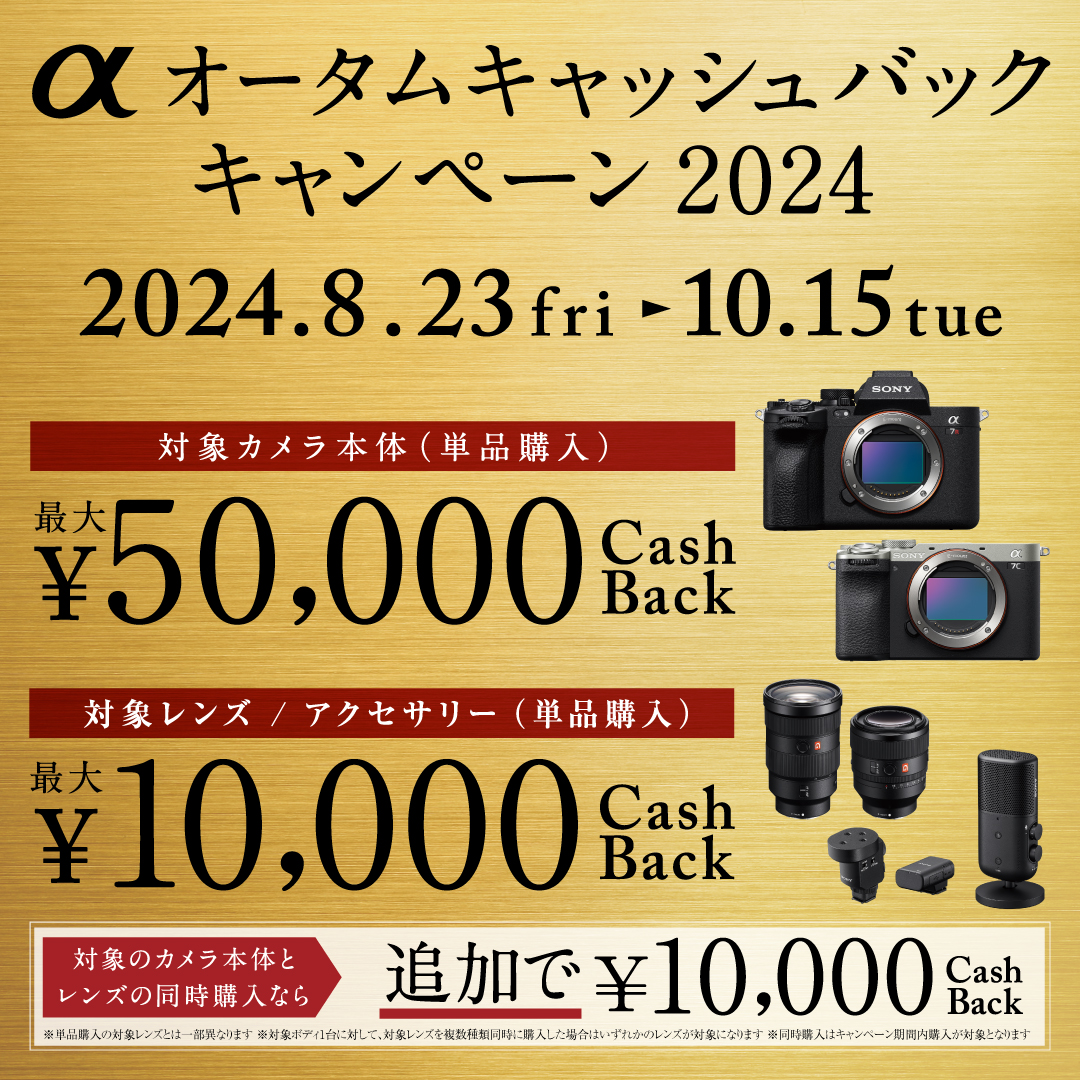 ✨美品✨シルバー✨運動会・イベントに✨SONY α6000　512 SONY α6000 ILCE-6000 ボディ [シルバー]投稿画像・動画 - 価格.com