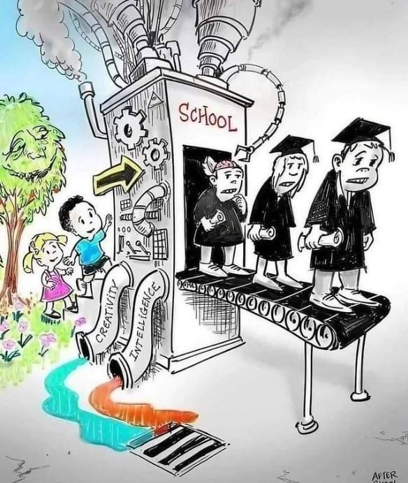 WallStreetMav's tweet photo. Public education is not what you think it is. https://t.co/2FiMLTI6yZ