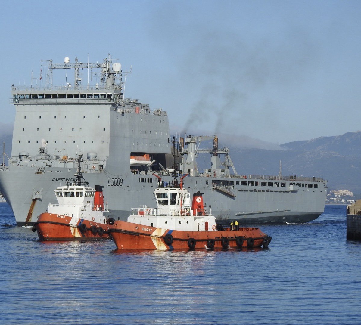 Navy Lookout tweet media