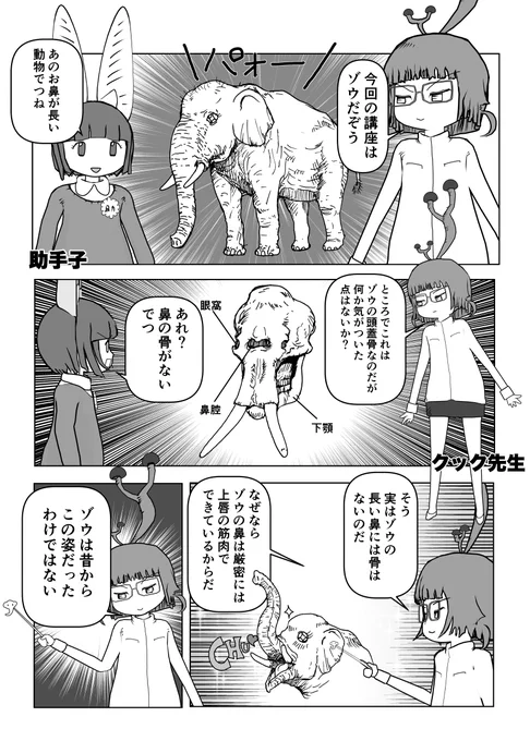 色々と誤解されてそうな動物を漫画で解説していくぞい。 第6回「ゾウ」1/2
#ゾウ #古代生物 #巨大生物 #化石 #漫画が読めるハッシュタグ #クック先生の動物講座 