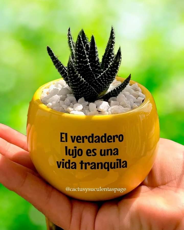 VidaEquilibrad4's tweet photo. https://t.co/ugIcryNdjO