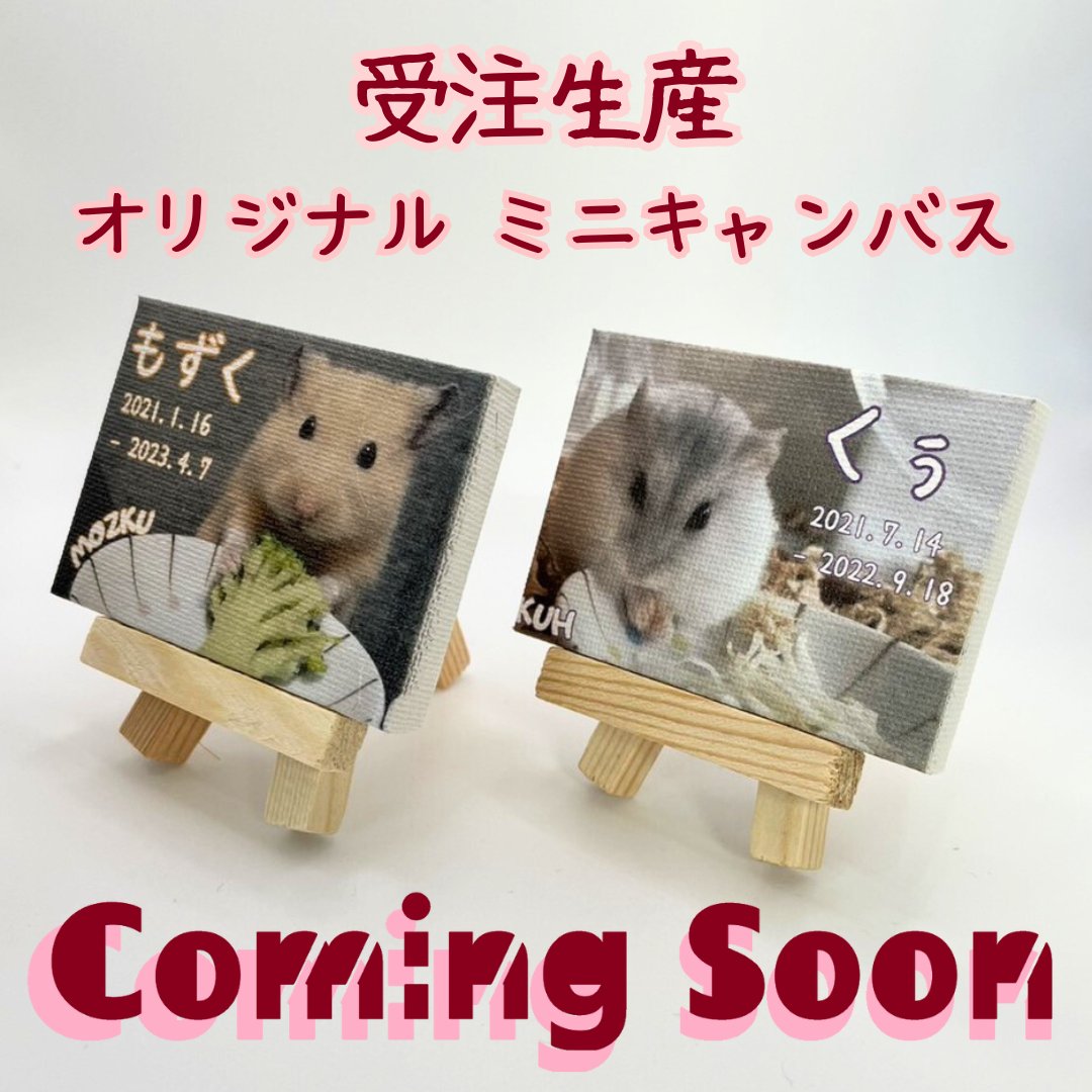 ハムスター小物まとめ売り ナンセンス
